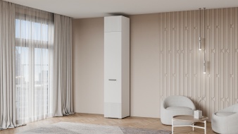 Шкаф распашной Декарт 7 BMS